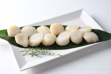 Photo of Fresh raw scallops and thyme on white wooden table