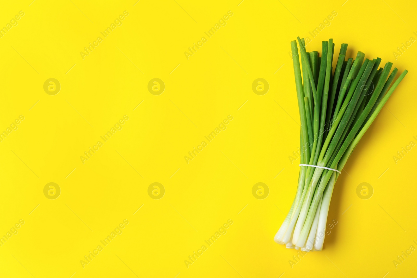 Photo of Bunch of fresh green onion on yellow background. Space for text