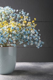 Beautiful dyed gypsophila flowers in vase on light grey table