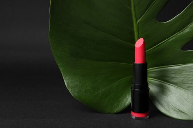 Photo of Beautiful pink lipstick and green leaf on black background, space for text
