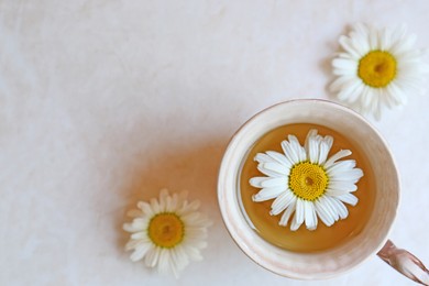 Photo of Tasty herbal tea and fresh chamomile flowers on white table, flat lay. Space for text