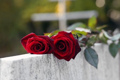 Photo of Red roses on granite tombstone outdoors. Funeral ceremony