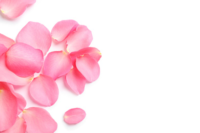 Photo of Fresh pink rose petals on white background, top view