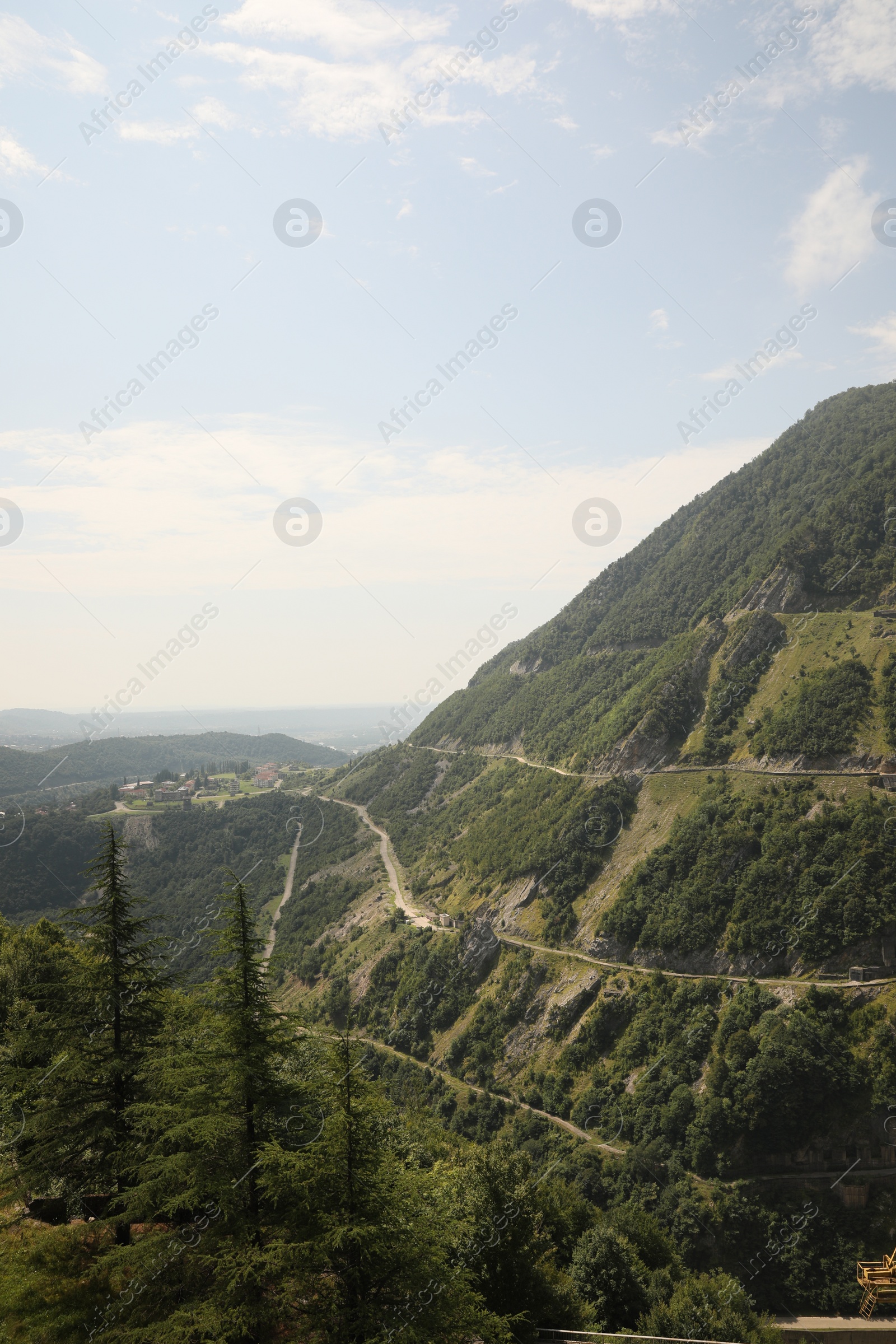 Photo of Beautiful mountain landscape with forest and green hills