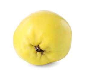 Photo of Delicious fresh ripe quince isolated on white