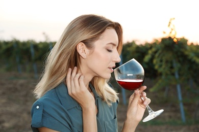 Photo of Young beautiful woman enjoying wine at vineyard