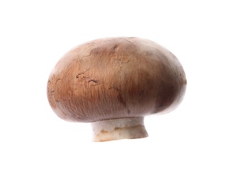 Photo of Fresh champignon mushroom isolated on white. Healthy food