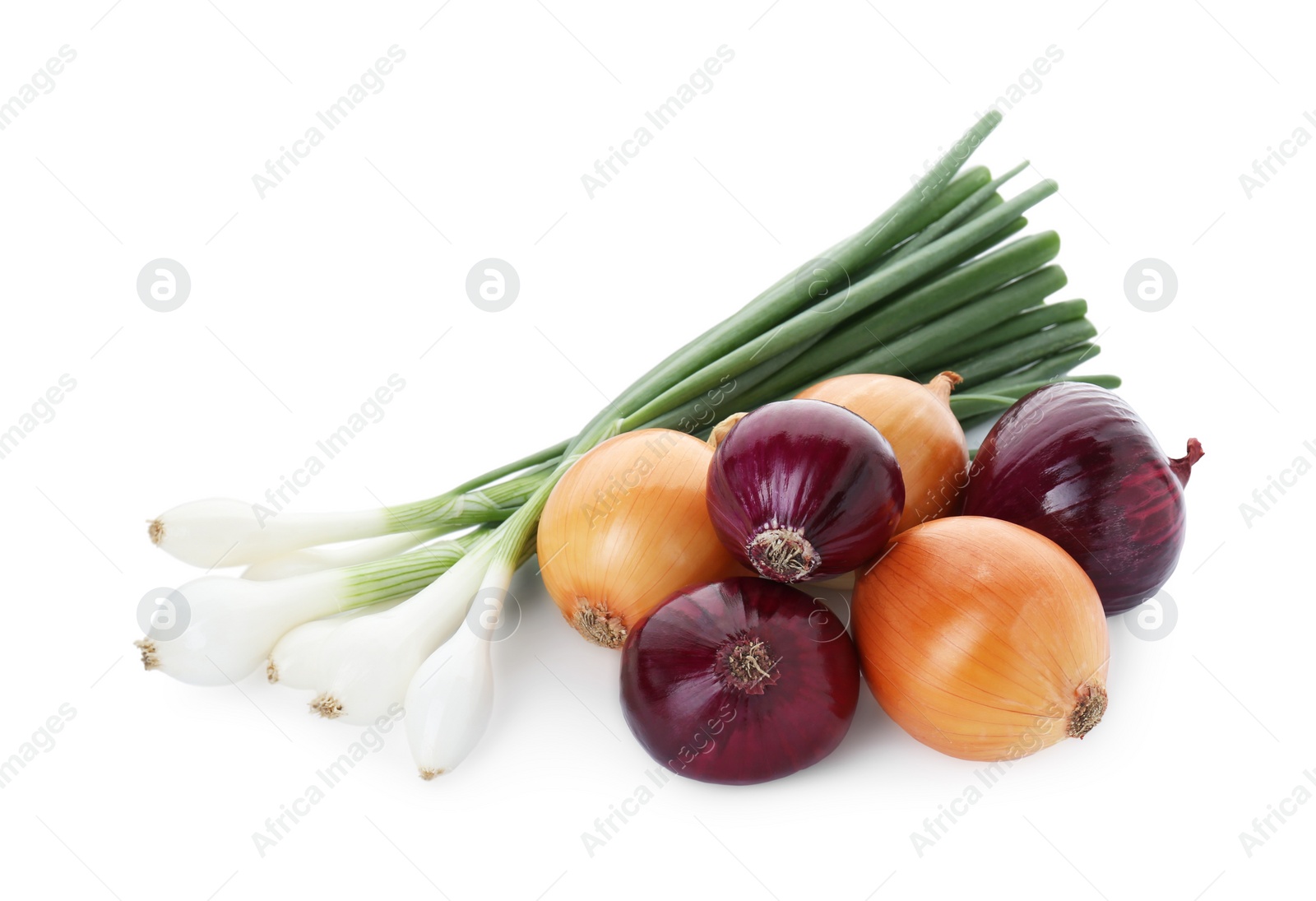 Photo of Different kinds of onions isolated on white