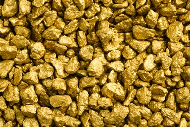 Photo of Many gold nuggets as background, top view