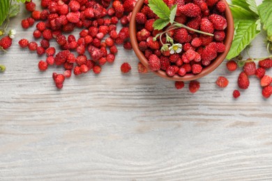 Fresh wild strawberries, flower and leaves on white wooden table, flat lay. Space for text