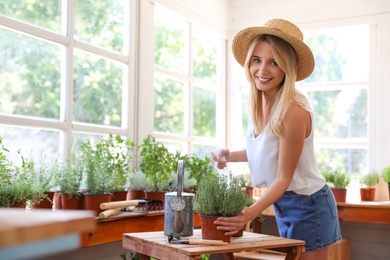 Photo of Young woman sprinkling home plants at wooden table indoors