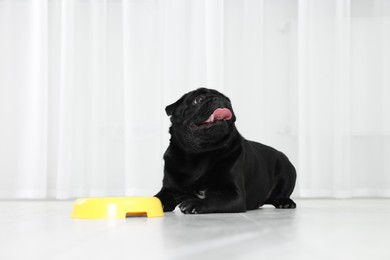 Photo of Cute Pug dog eating from plastic bowl in room