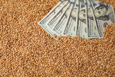 Photo of Dollar banknotes on wheat grains, above view. Agricultural business