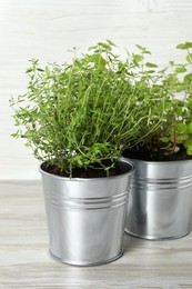 Different aromatic potted herbs on light wooden table