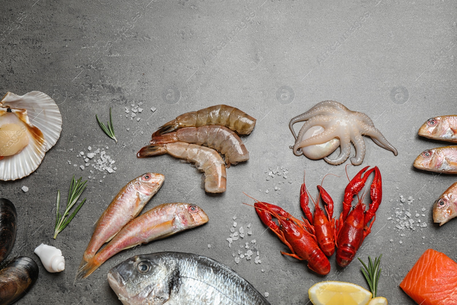 Photo of Fresh fish and seafood on grey table, flat lay