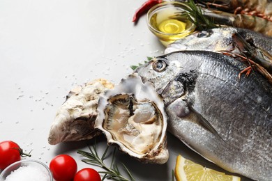 Fresh raw dorado fish and different seafood on light grey table. Space for text