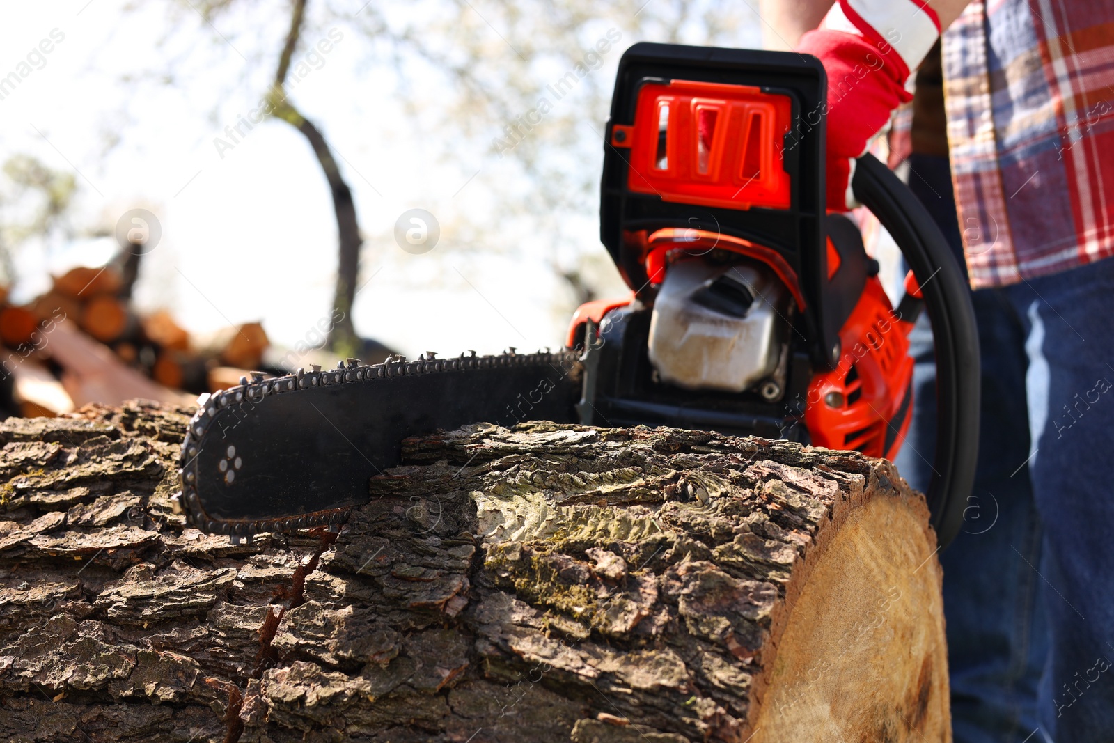 Photo of Man sawing wooden log on sunny day, closeup