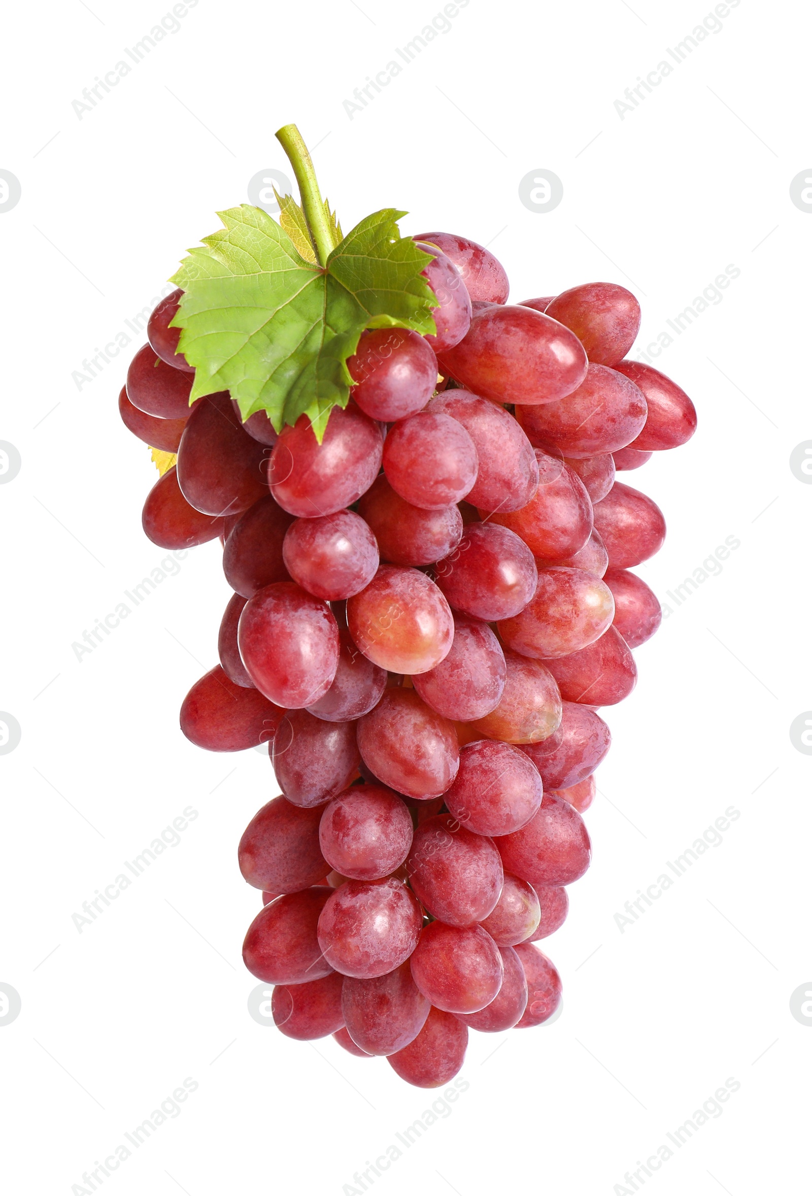 Photo of Bunch of fresh ripe juicy grapes isolated on white