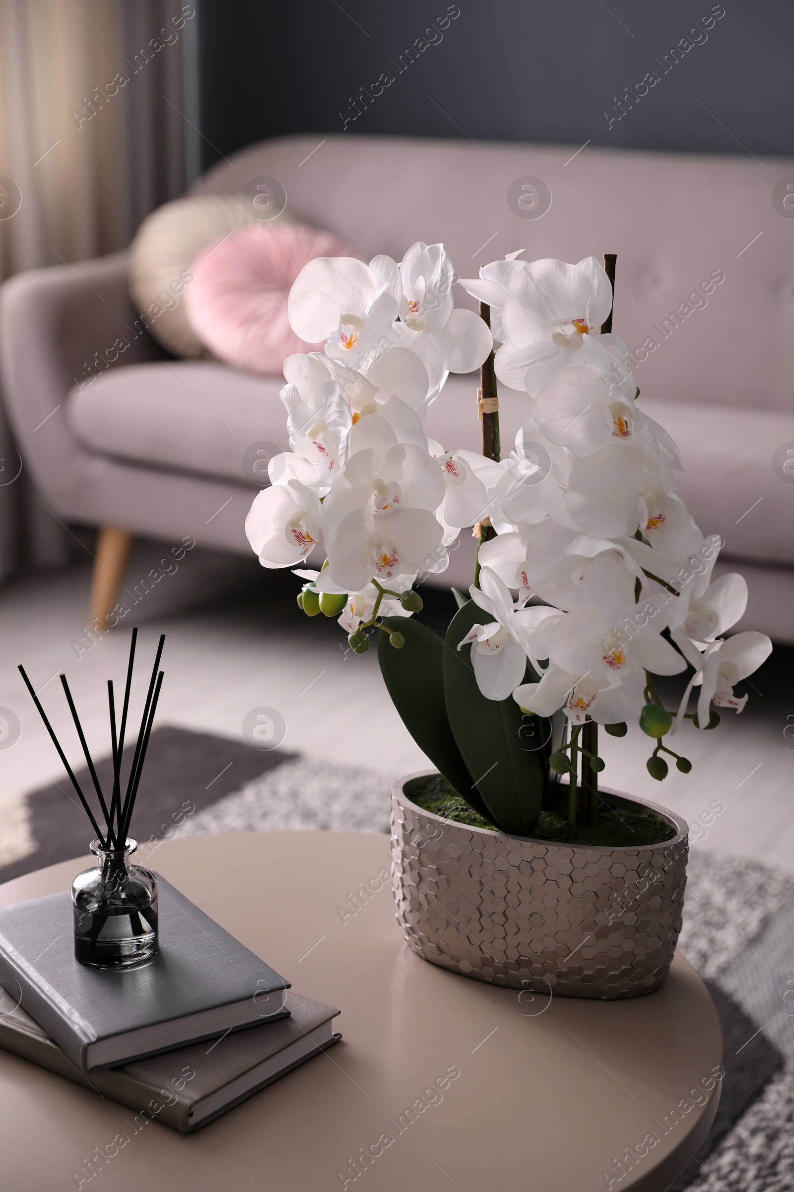 Photo of Beautiful orchid, books and air reed freshener on table indoors