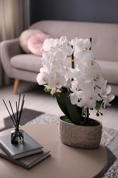 Beautiful orchid, books and air reed freshener on table indoors