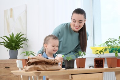 Mother and daughter spraying seedling in pot together at wooden table in room