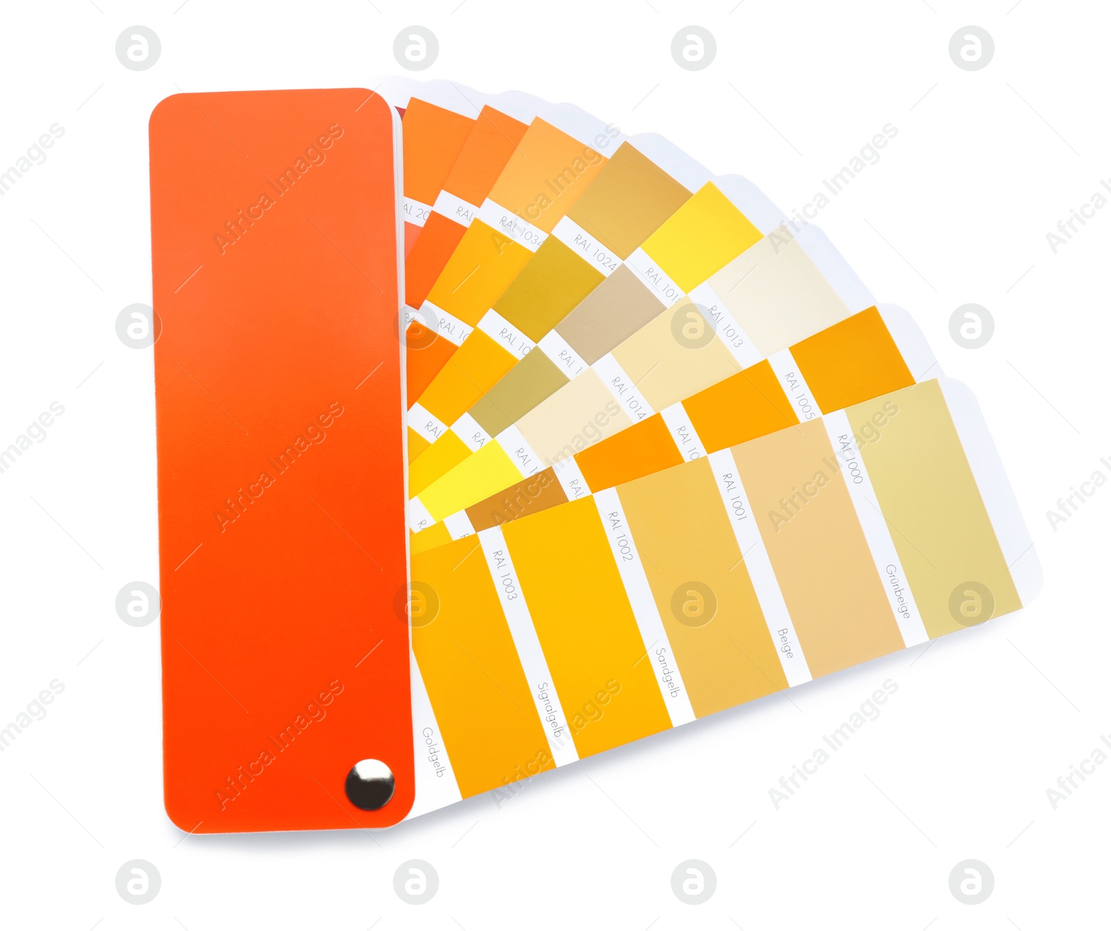 Photo of Color palette samples on white background