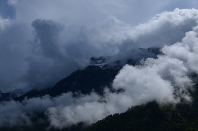 Photo of Picturesque view of mountains with forest covered by mist