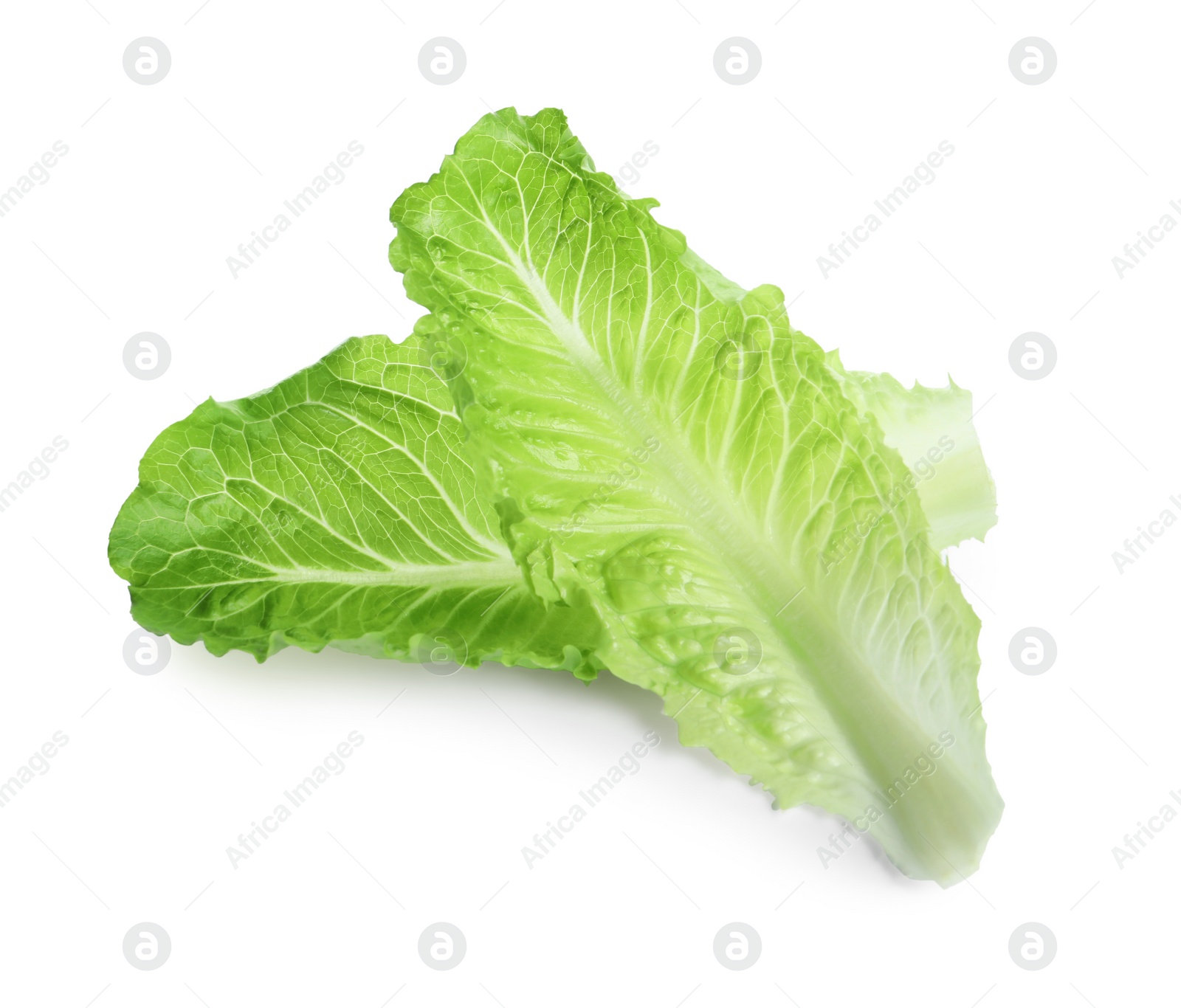 Photo of Fresh green leaves of romaine lettuce isolated on white