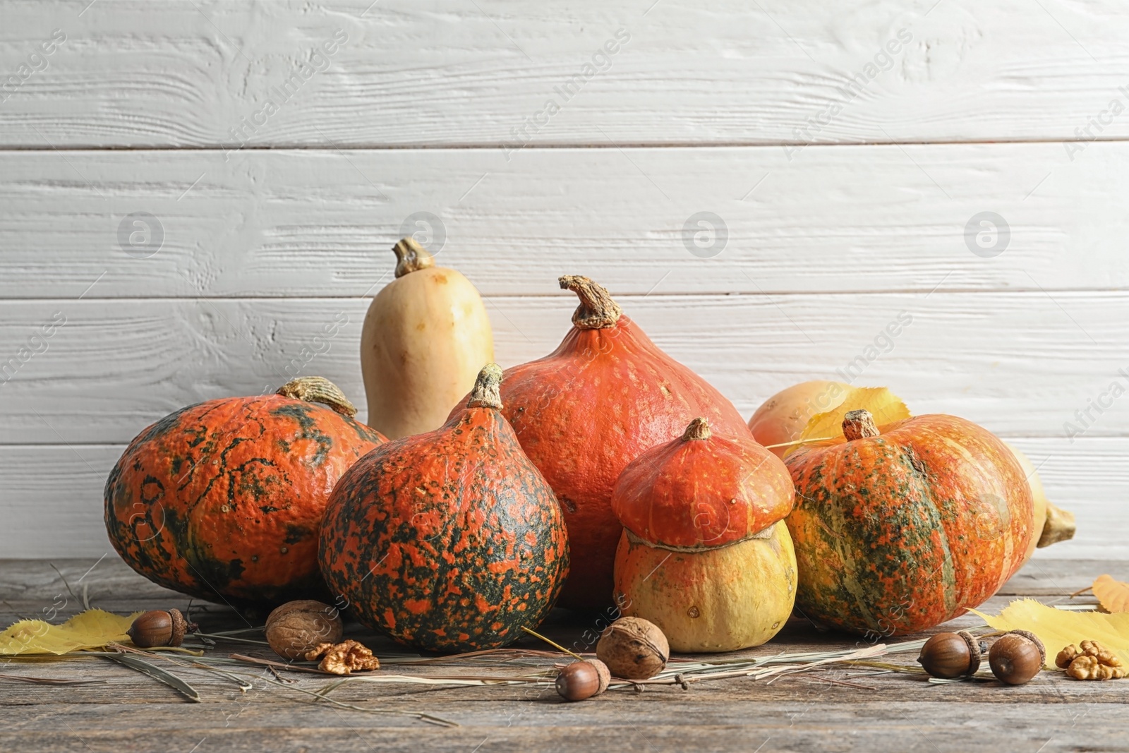 Photo of Different pumpkins on table against wooden wall. Autumn holidays