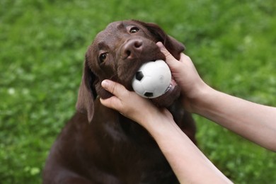 Photo of Man playing with adorable Labrador Retriever dog in park, closeup