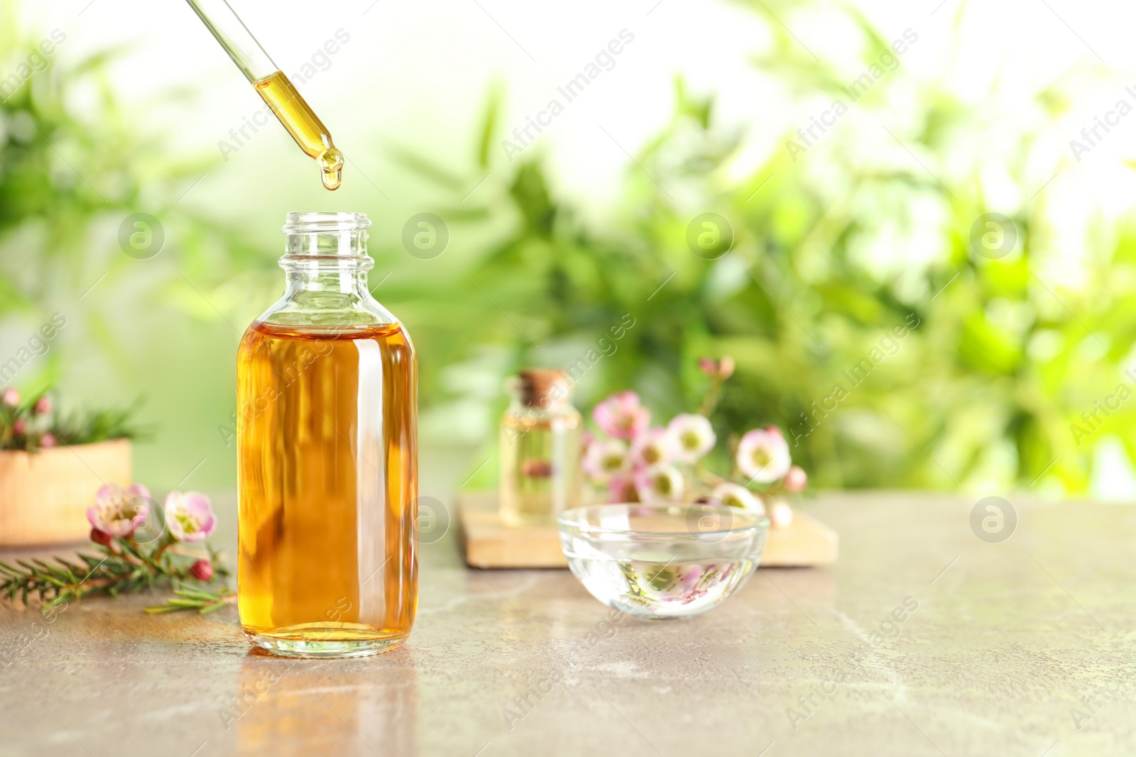 Photo of Dripping natural tea tree essential oil into bottle on table, space for text