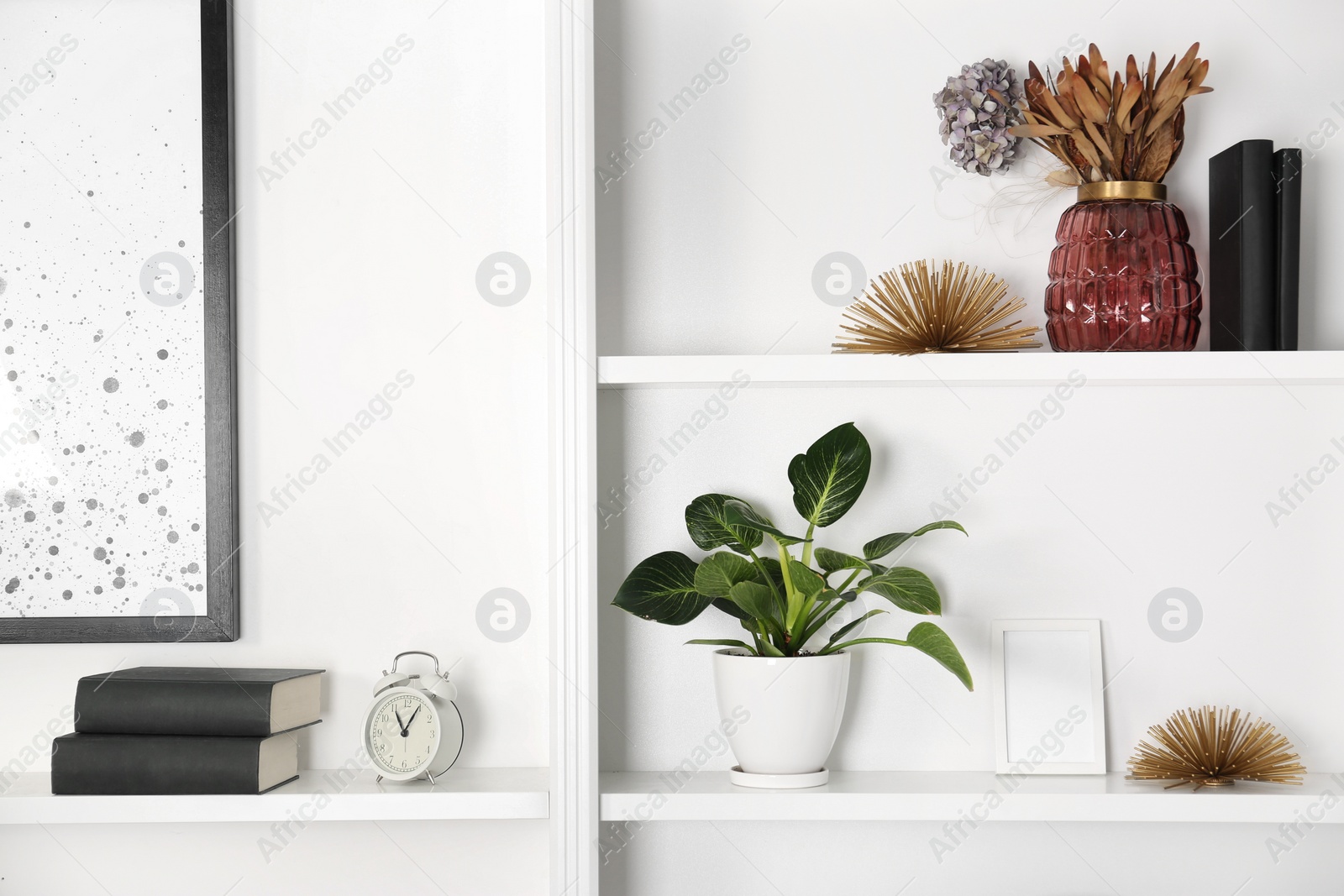 Photo of White shelving unit with houseplant and different decor elements in room. Interior design