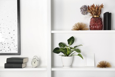 Photo of White shelving unit with houseplant and different decor elements in room. Interior design