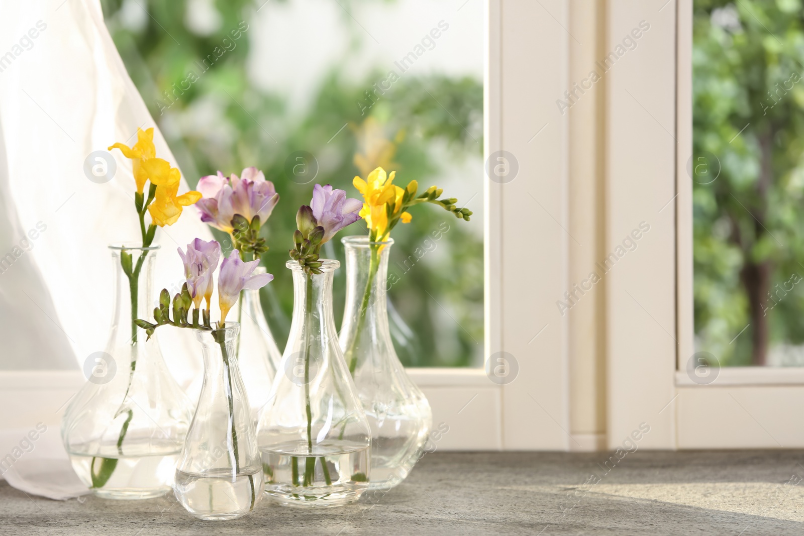 Photo of Beautiful fresh freesias on window sill indoors. Spring flowers