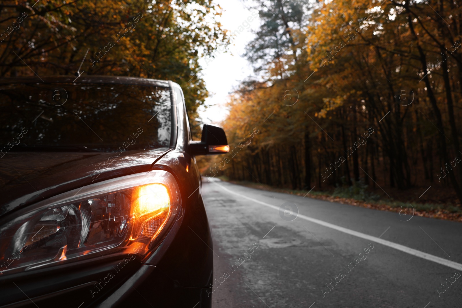 Photo of Modern car on asphalt road near autumn forest, closeup. Space for text