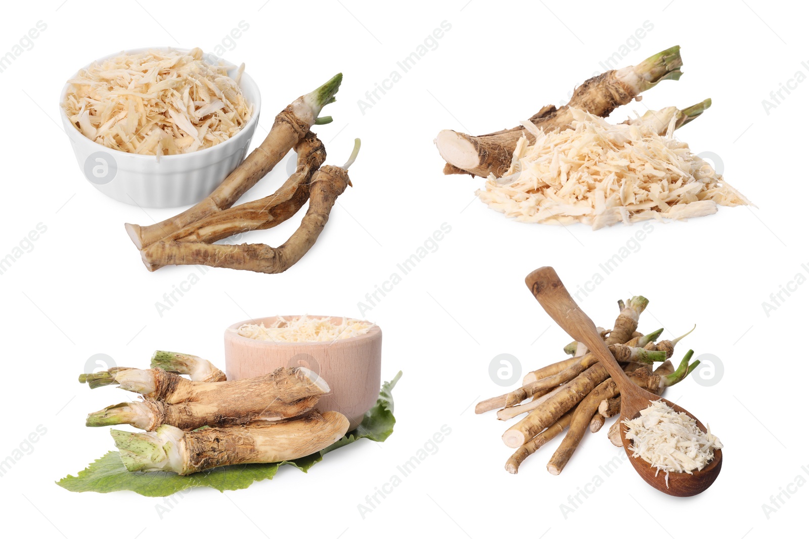 Image of Roots, grated and cut horseradish roots isolated on white, collage design