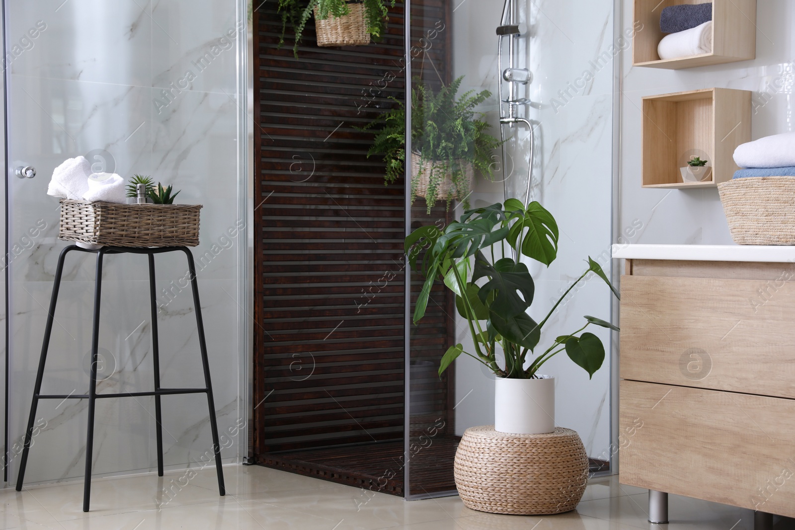 Photo of Bathroom interior with shower stall and houseplants. Idea for design