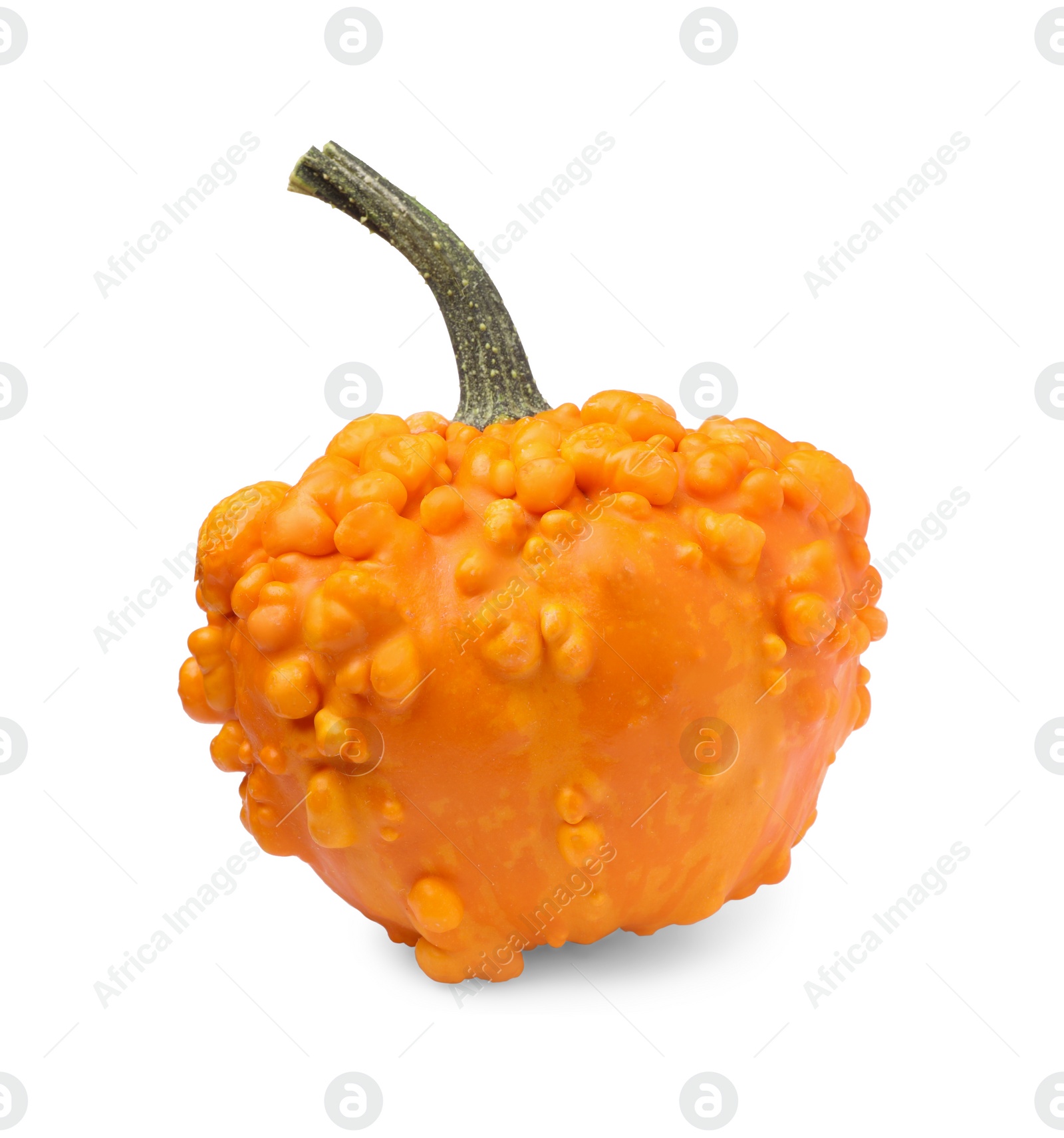 Photo of One whole ripe pumpkin isolated on white