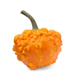 Photo of One whole ripe pumpkin isolated on white