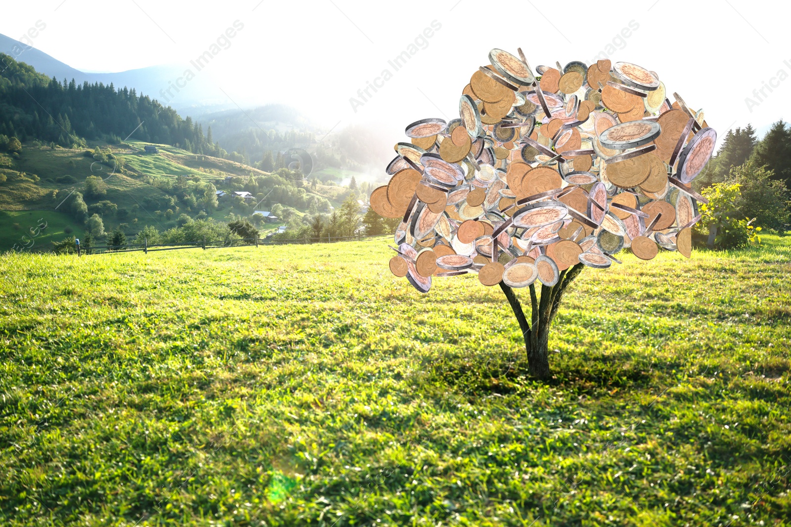Image of Money tree on green pasture in mountains. Concept of financial growth and passive income