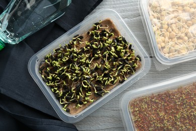 Growing microgreens. Different sprouted seeds in containers on grey wooden table, flat lay