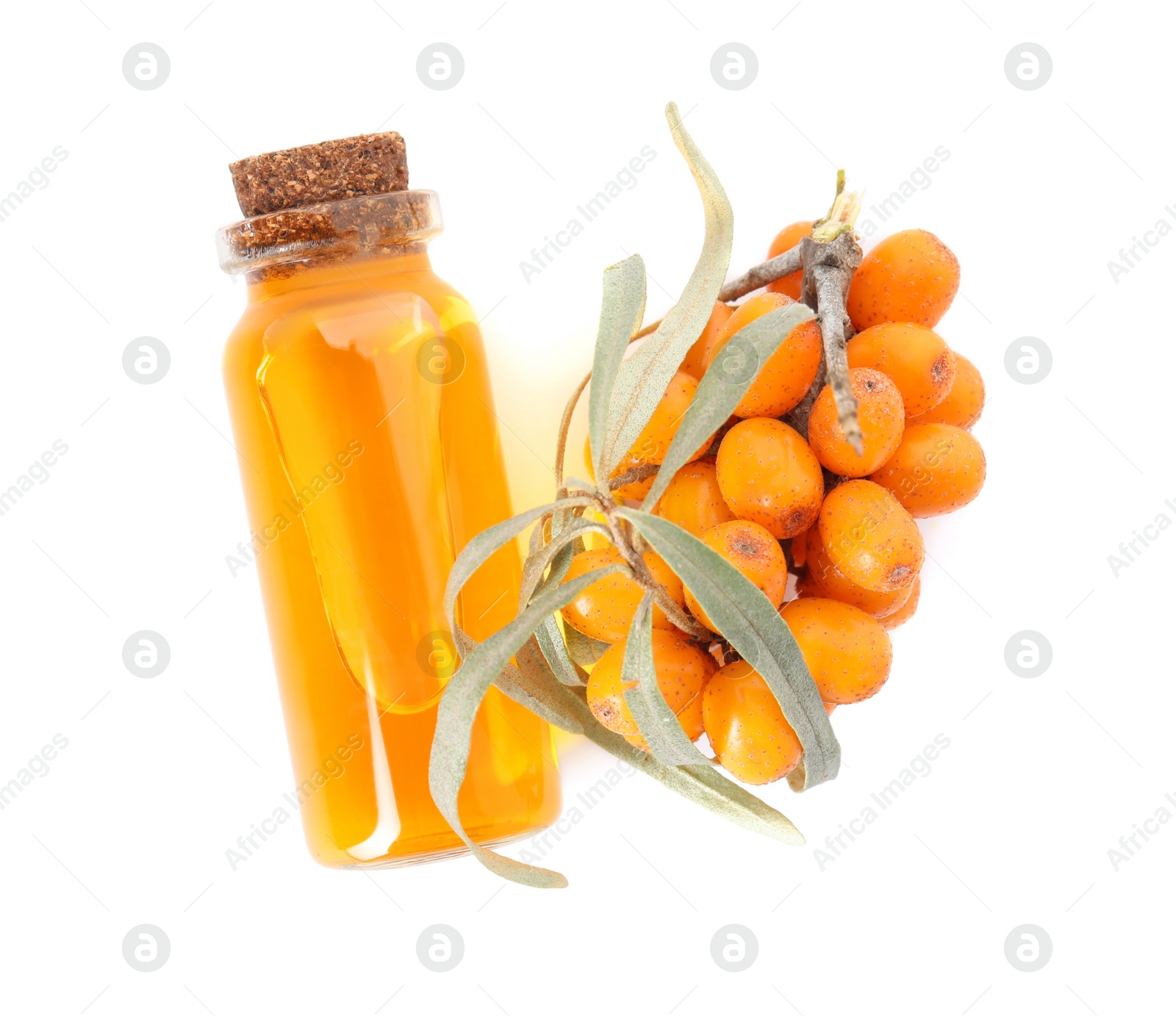 Photo of Natural sea buckthorn oil and fresh berries on white background, top view