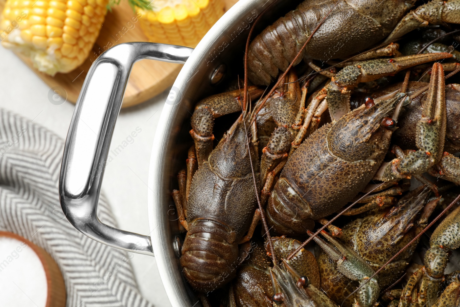 Photo of Fresh raw crayfishes in pot on grey table, top view