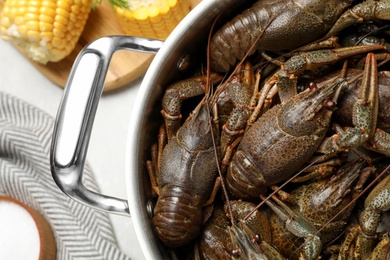 Photo of Fresh raw crayfishes in pot on grey table, top view