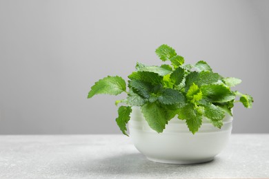 Photo of Bowl with fresh green lemon balm leaves on light grey table, space for text