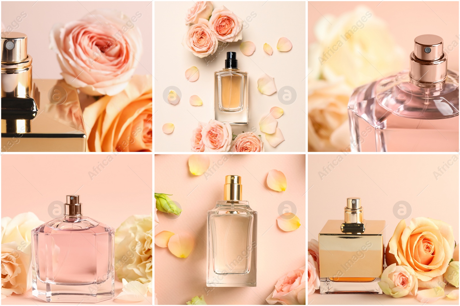 Image of Creative collage with photos of luxury perfume and beautiful flowers on color backgrounds 