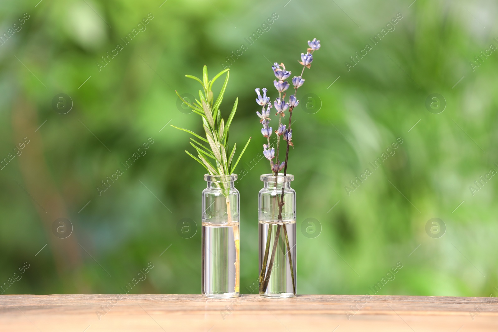 Photo of Bottles with essential oils, rosemary and lavender on wooden table against blurred green background