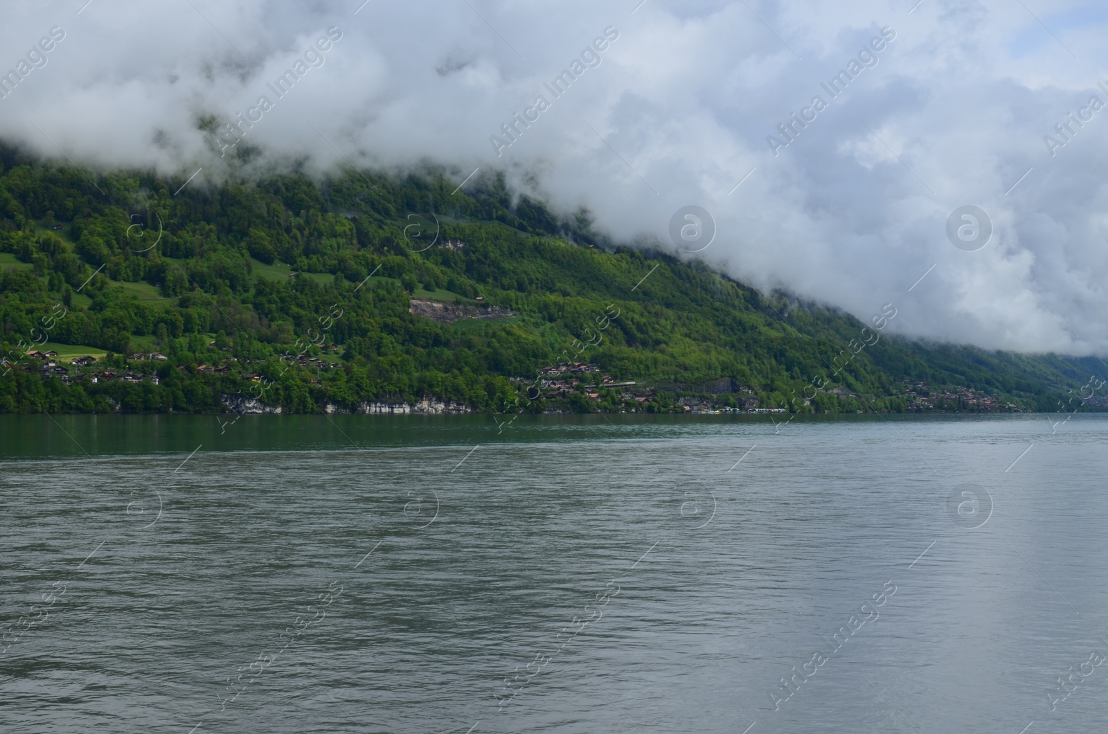 Photo of Picturesque view of beautiful river and green forest in mountains