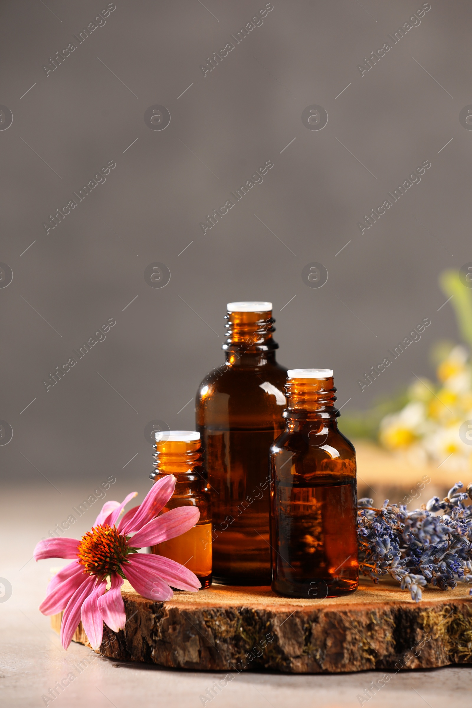 Photo of Bottles with essential oils and flowers on light table. Space for text