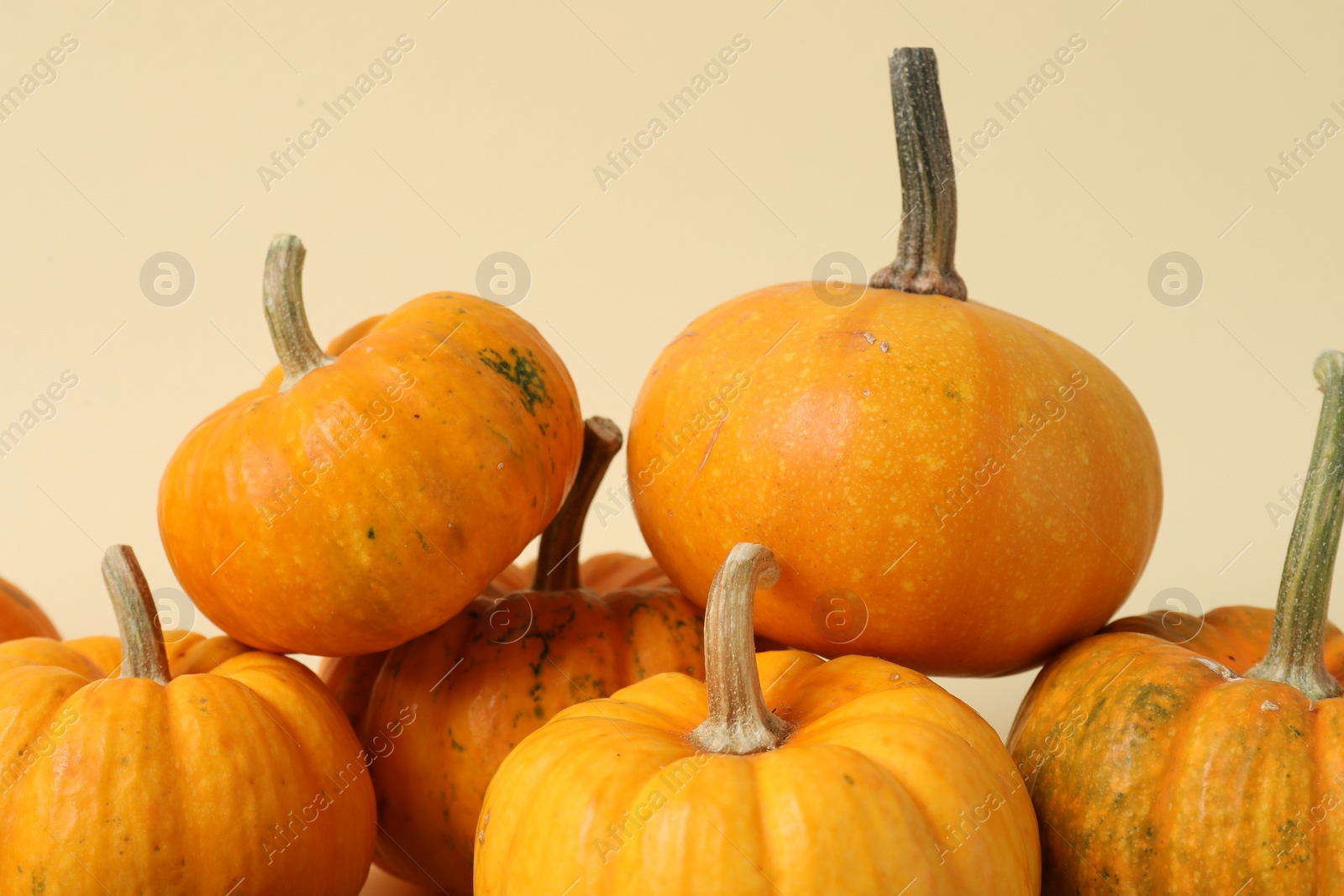 Photo of Thanksgiving day. Beautiful composition with pumpkins on beige background, closeup